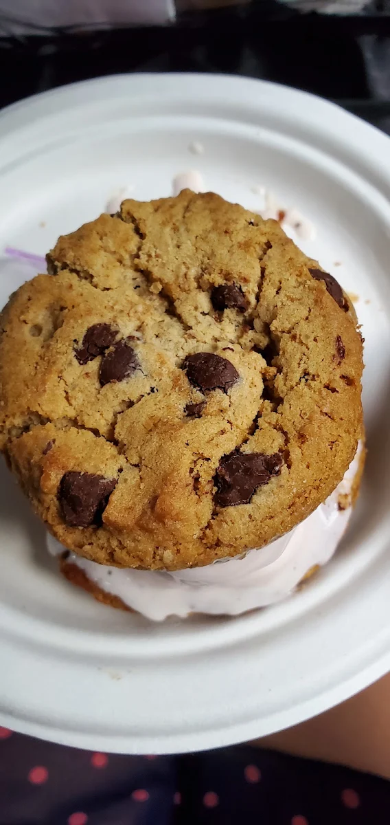 Ice Cream Sandwich
