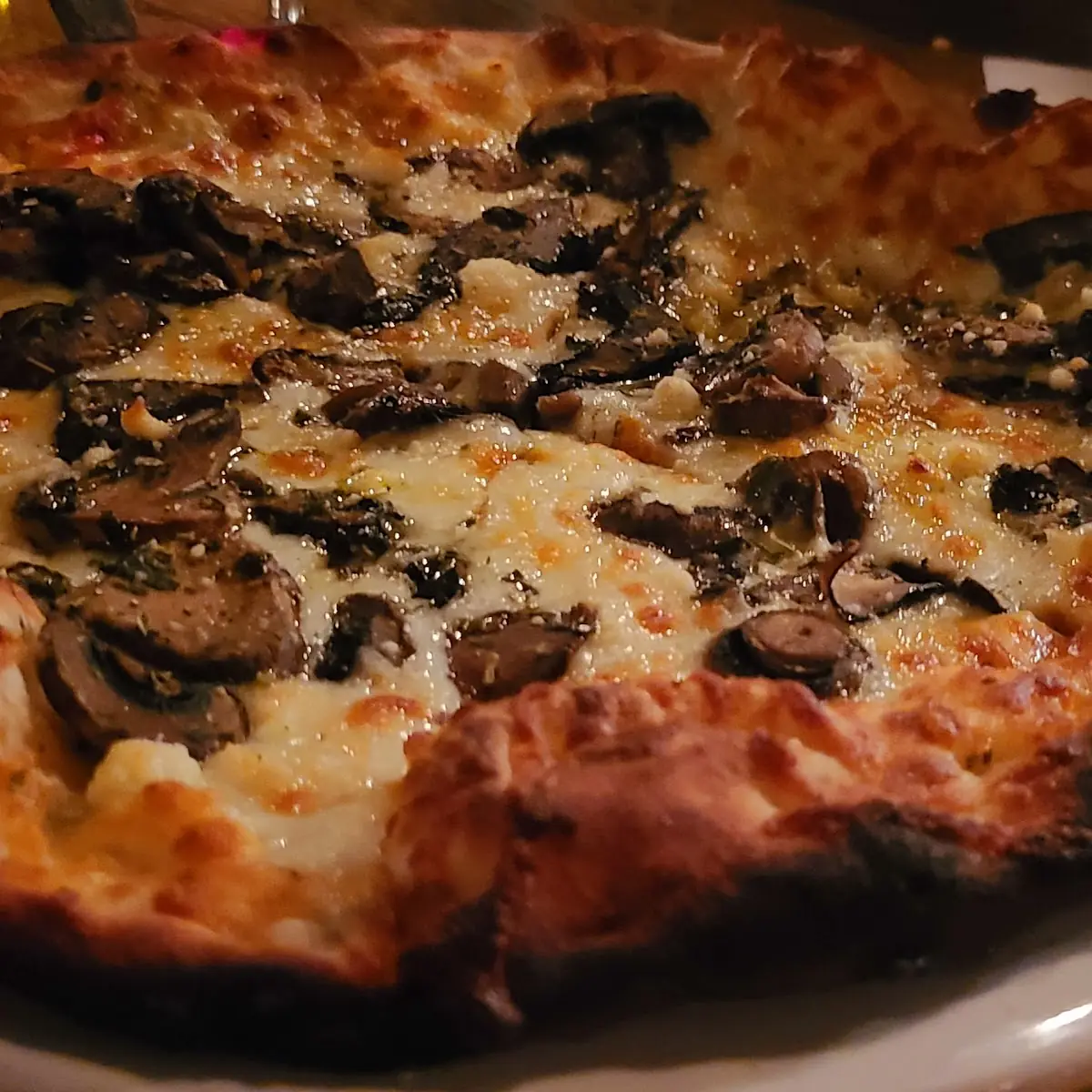 Mediterranean Pizza