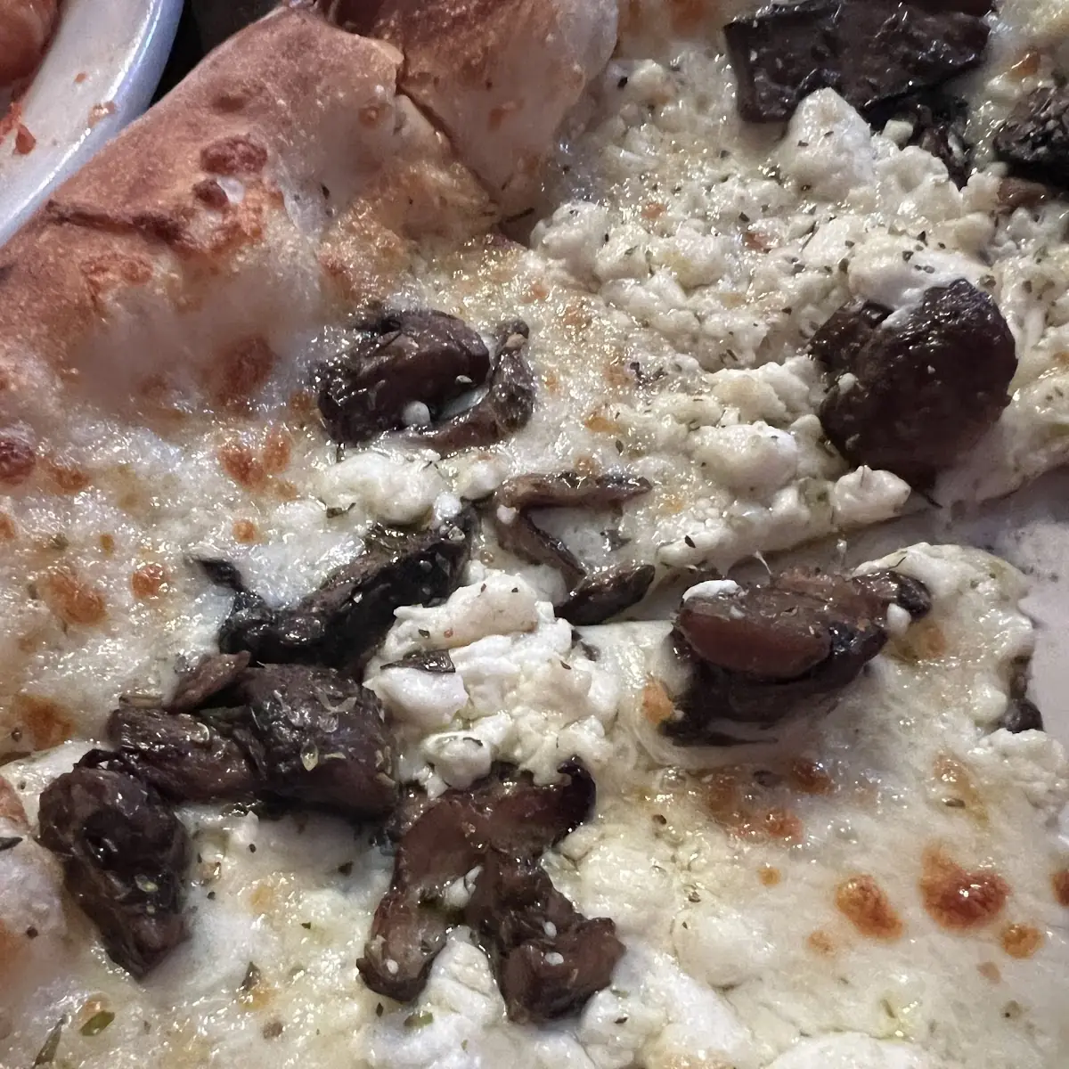 Truffle Mushroom Pizza