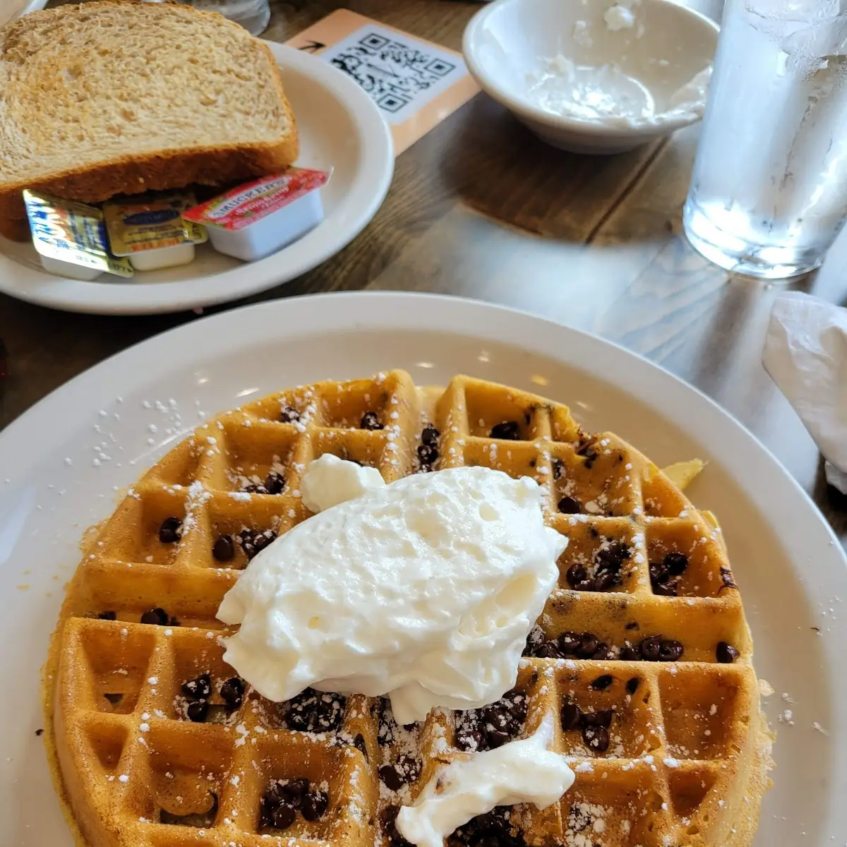 Chocolate Chip