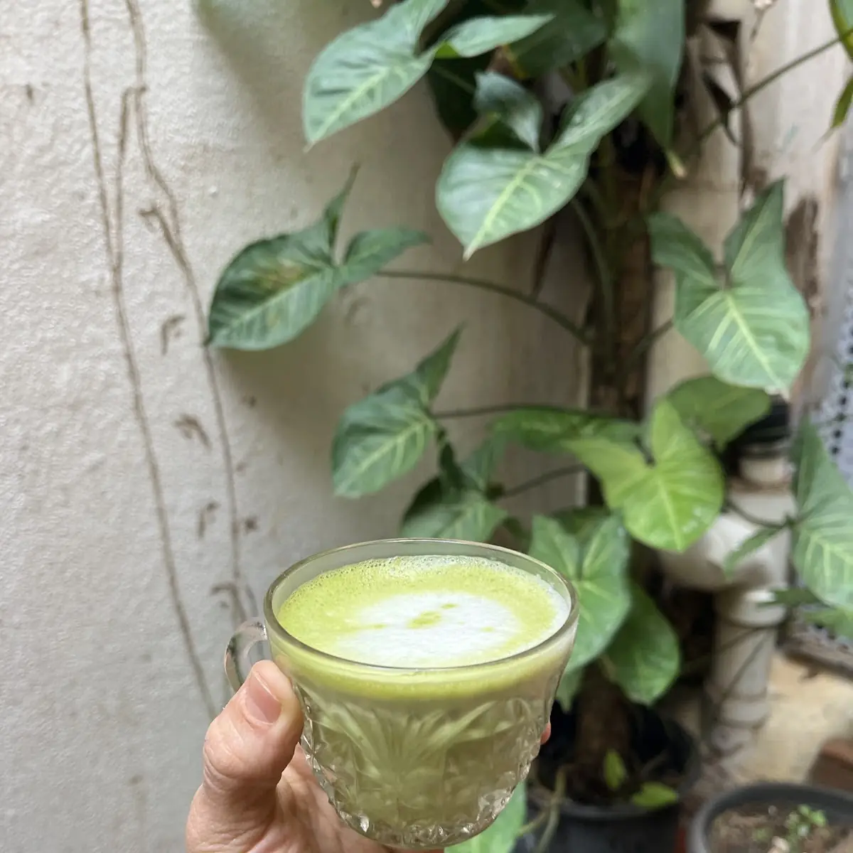Iced Matcha