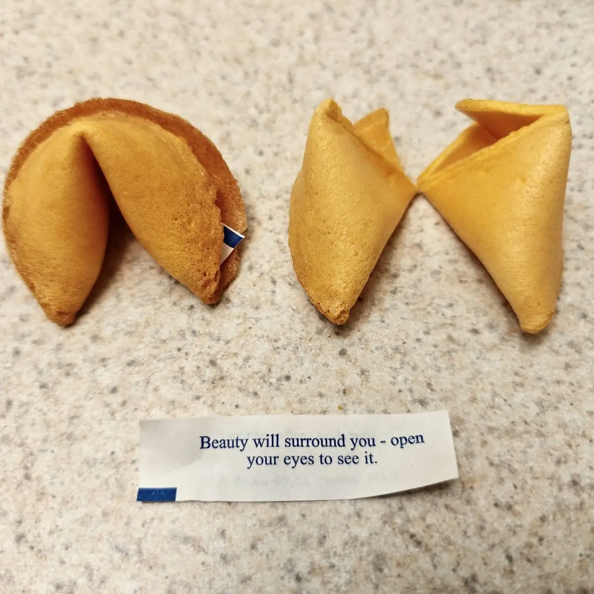 Fortune Cookie