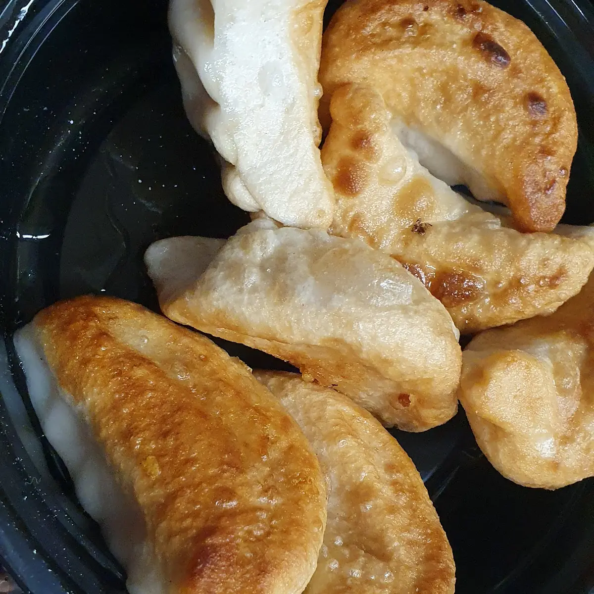 Vegetable Gyoza