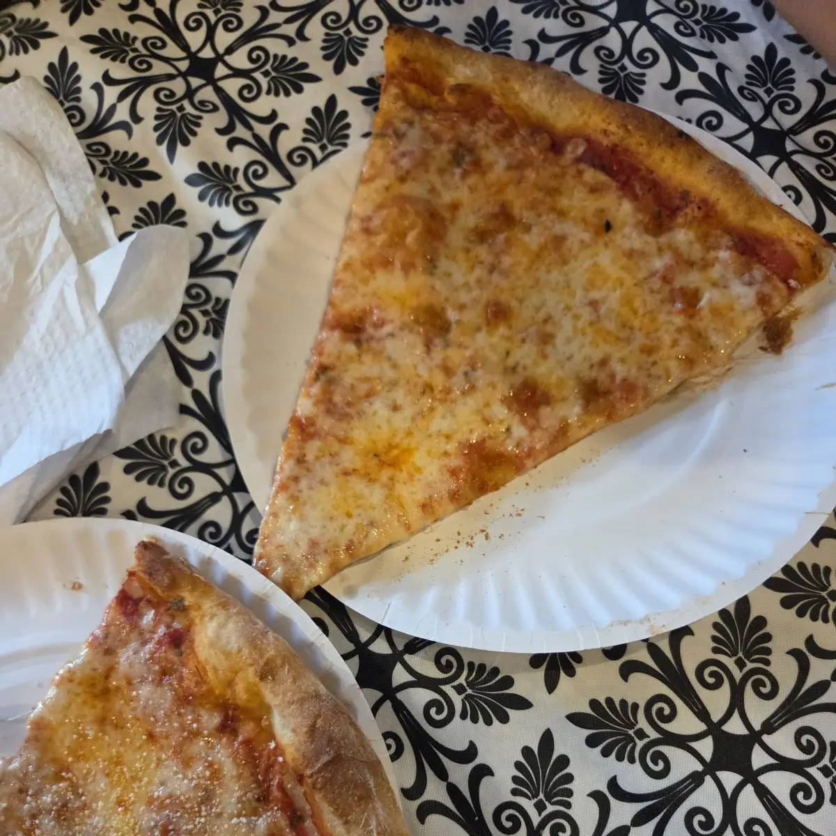 Plain Pizza