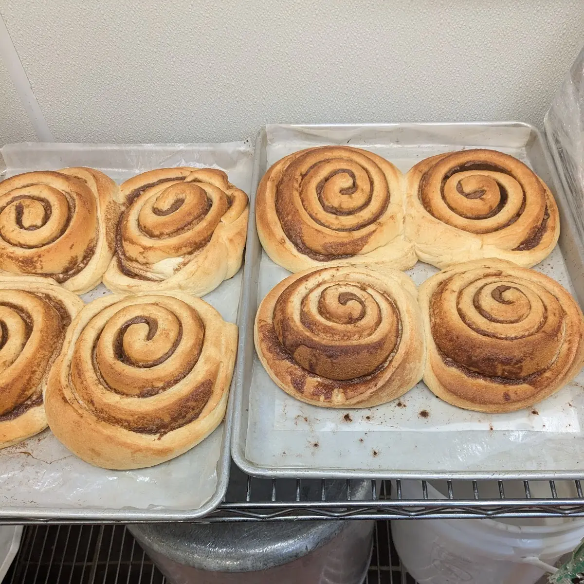 Cinnamon Roll