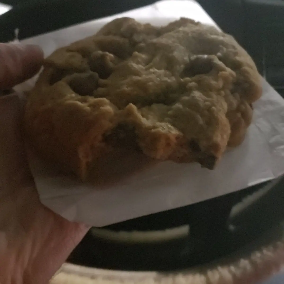 Chocolate Chip Cookie