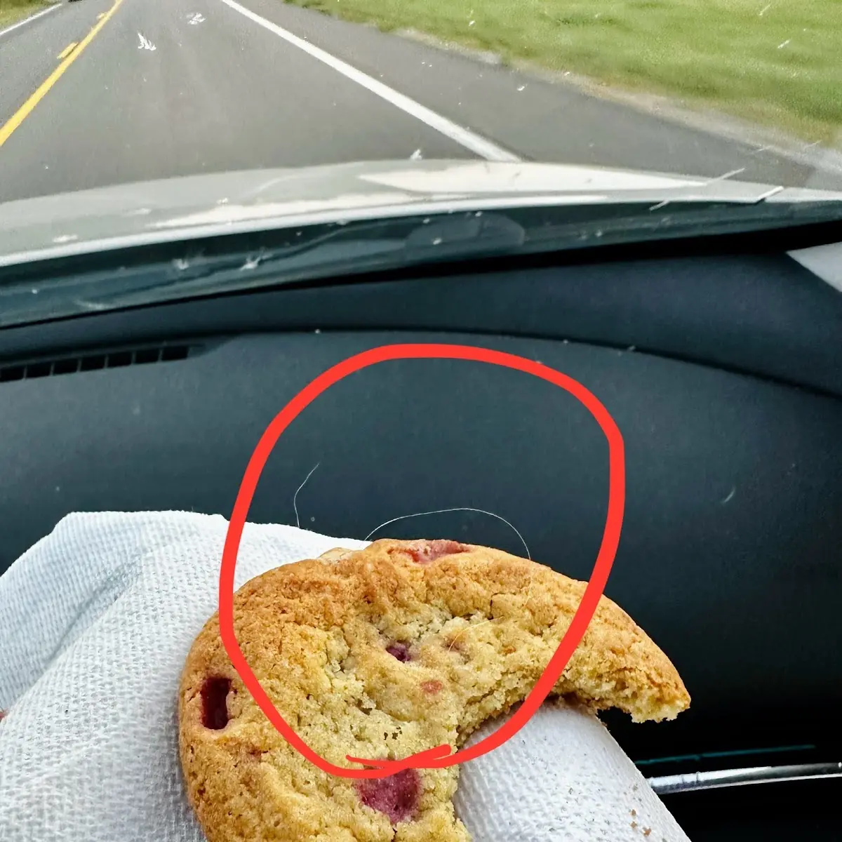 Subway Footlong Cookie