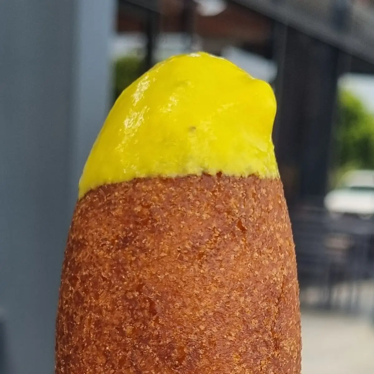 Veggie Hot Dog