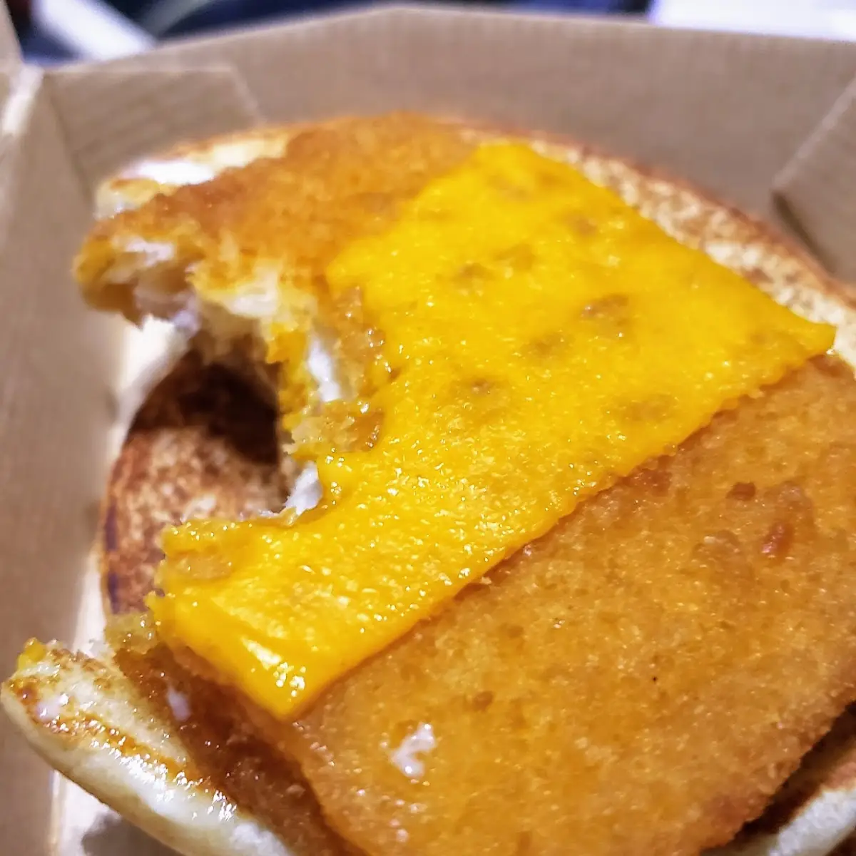 Fish Filet