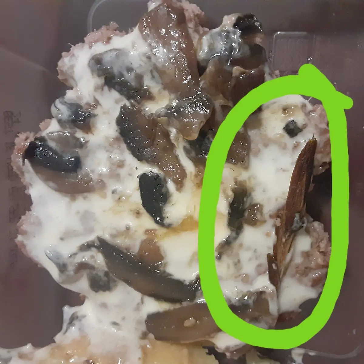 Mushroom and Swiss Burger
