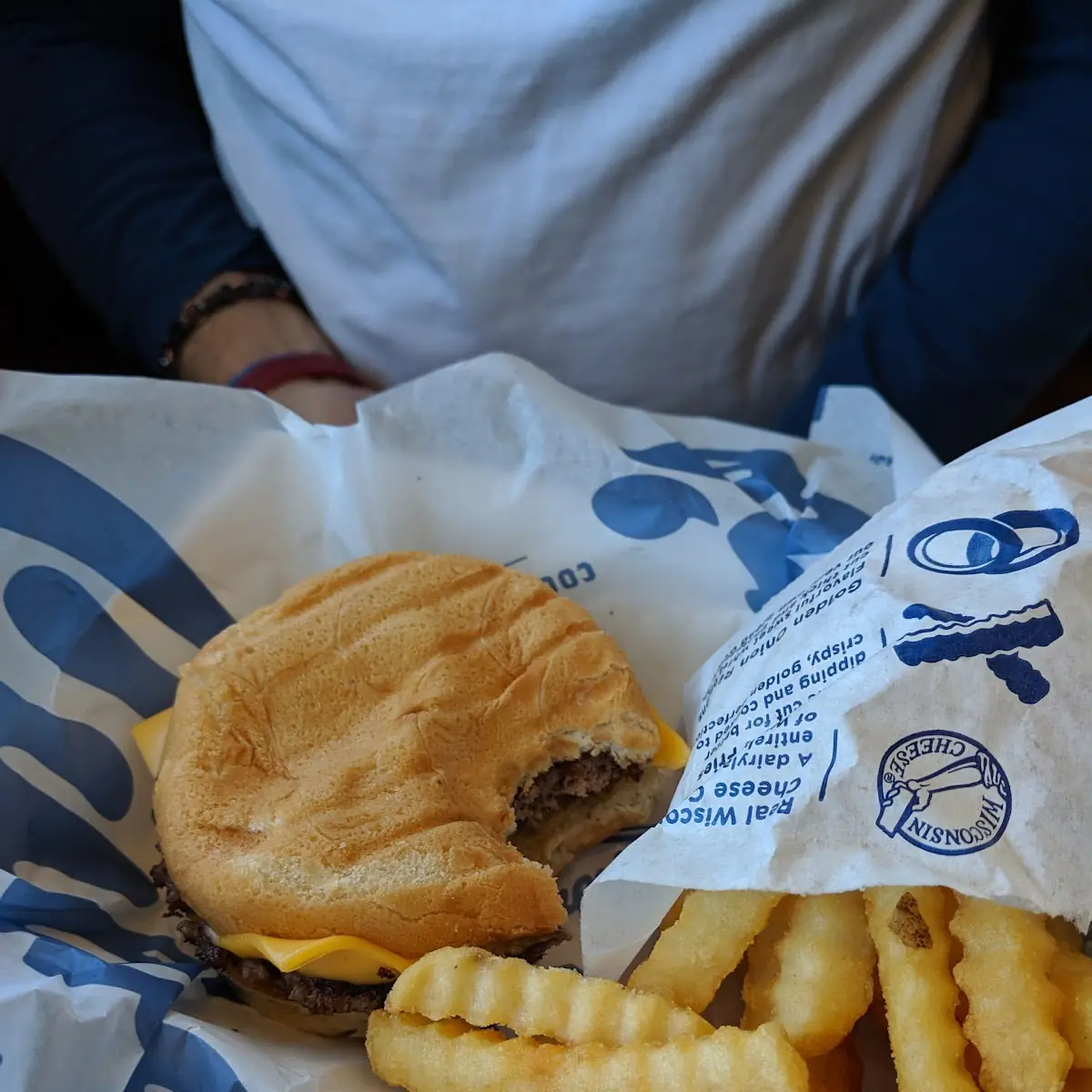 Cheese Burger and Fries