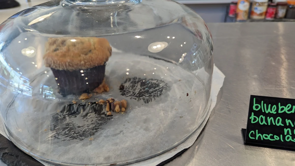 Blueberry Muffin