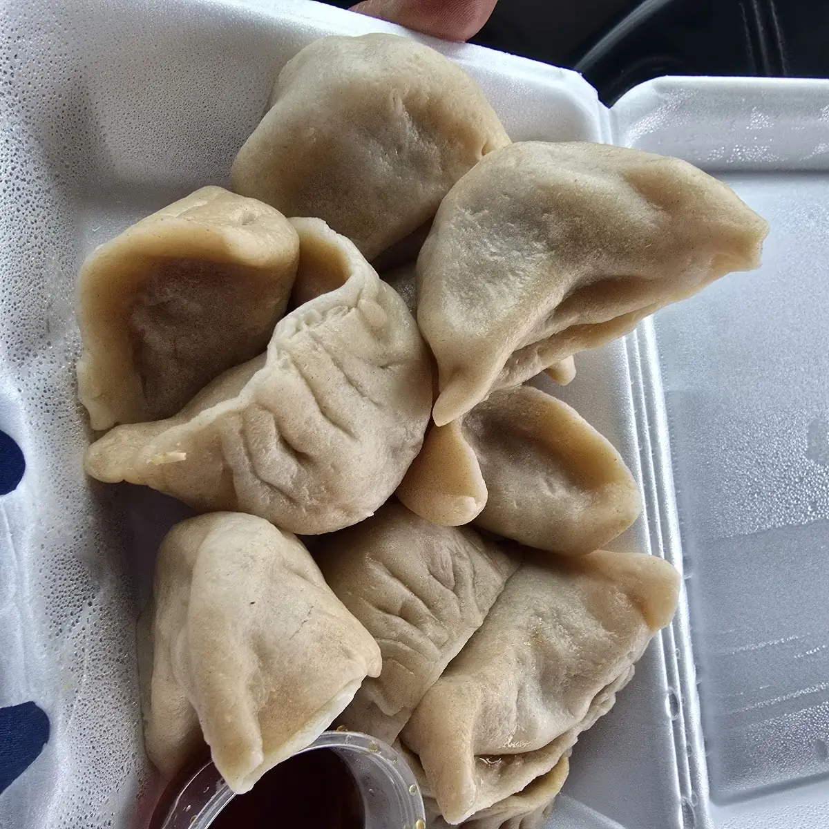 Pot Sticker Steamed