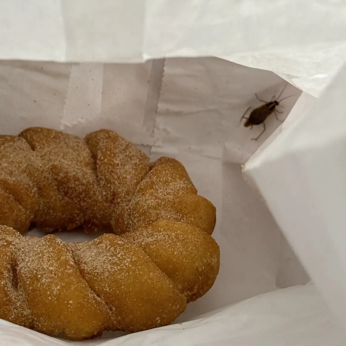 Fried Dough