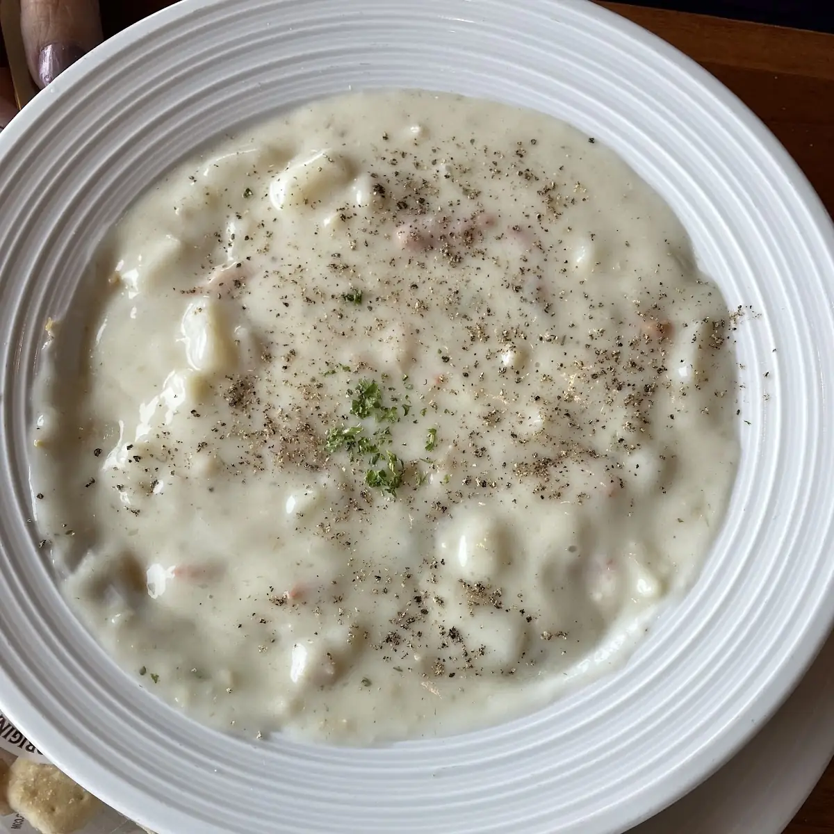 Original Galley Clam Chowder Cup 8 Bowl