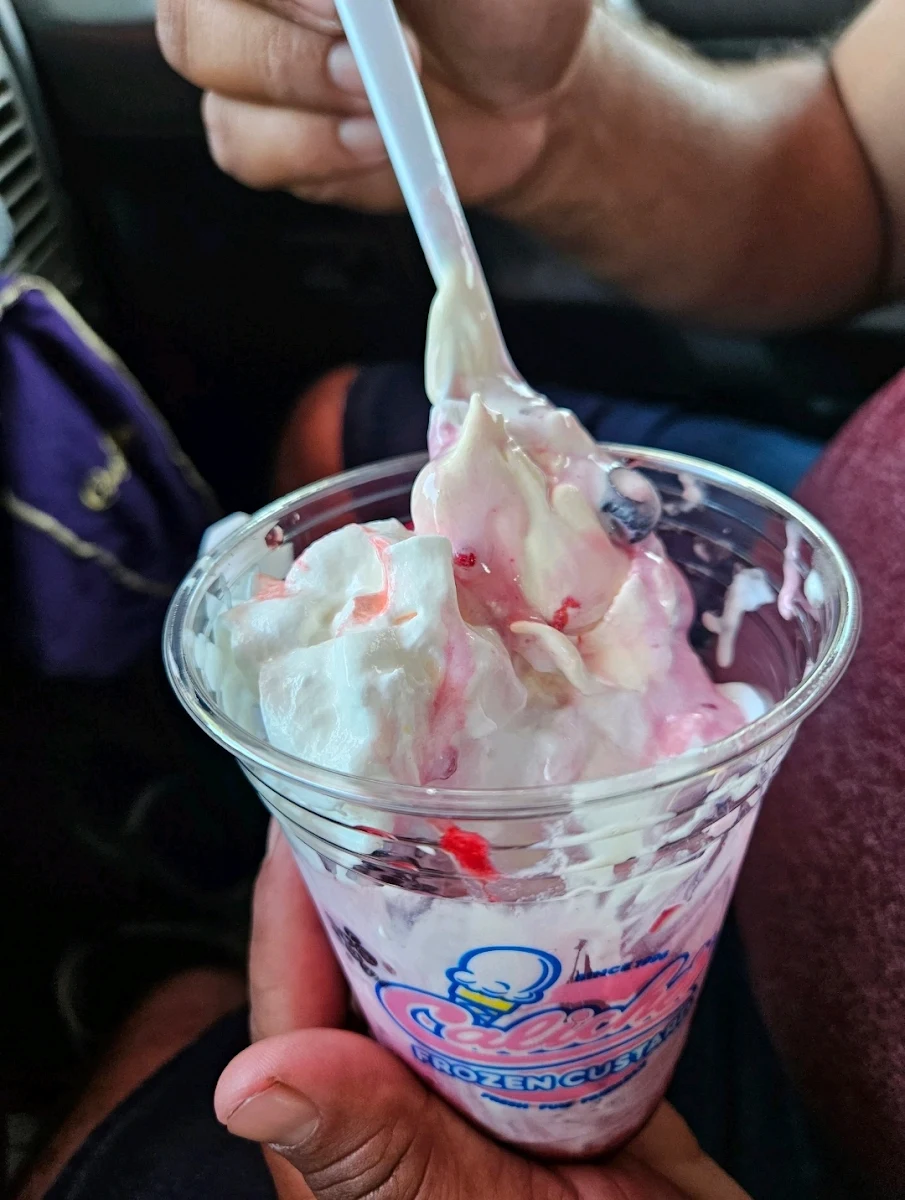 Mixed Berry Custard