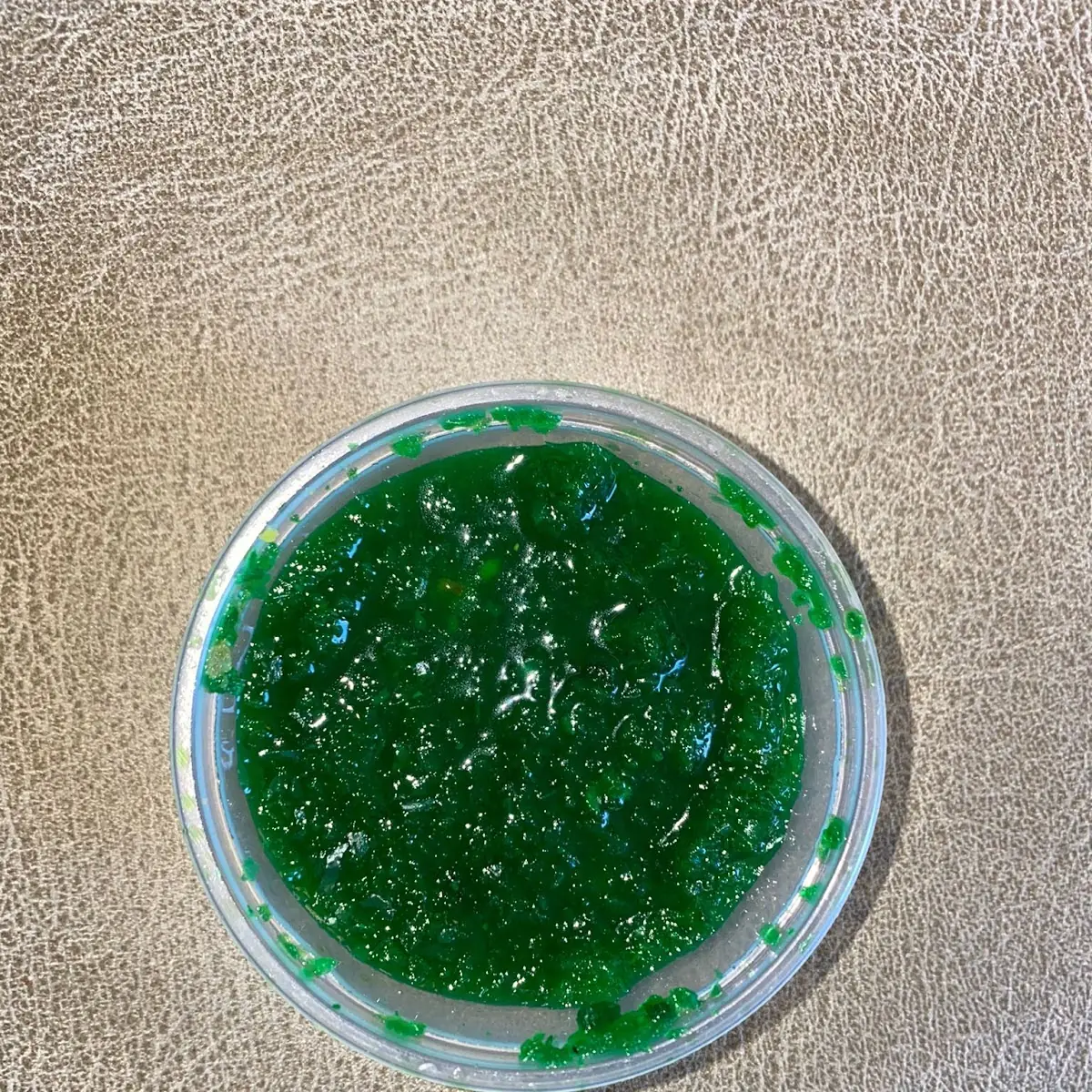 Mint Chutney