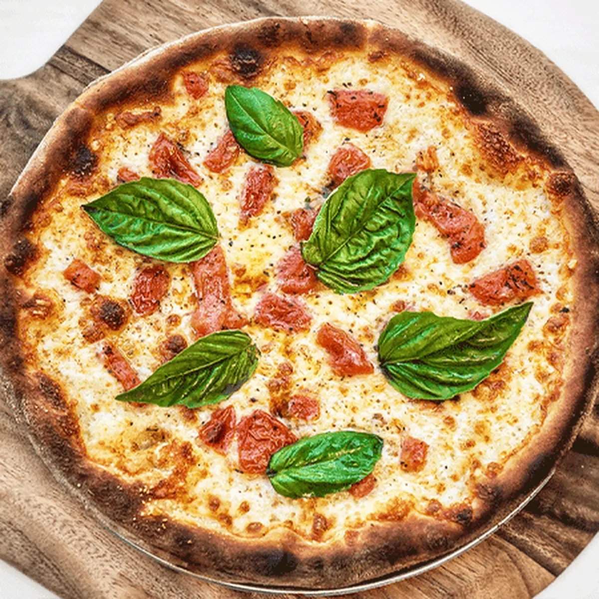 Pizza Margherita