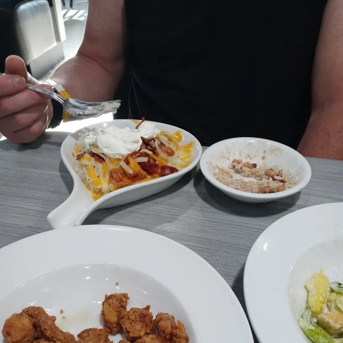 Gator Bites