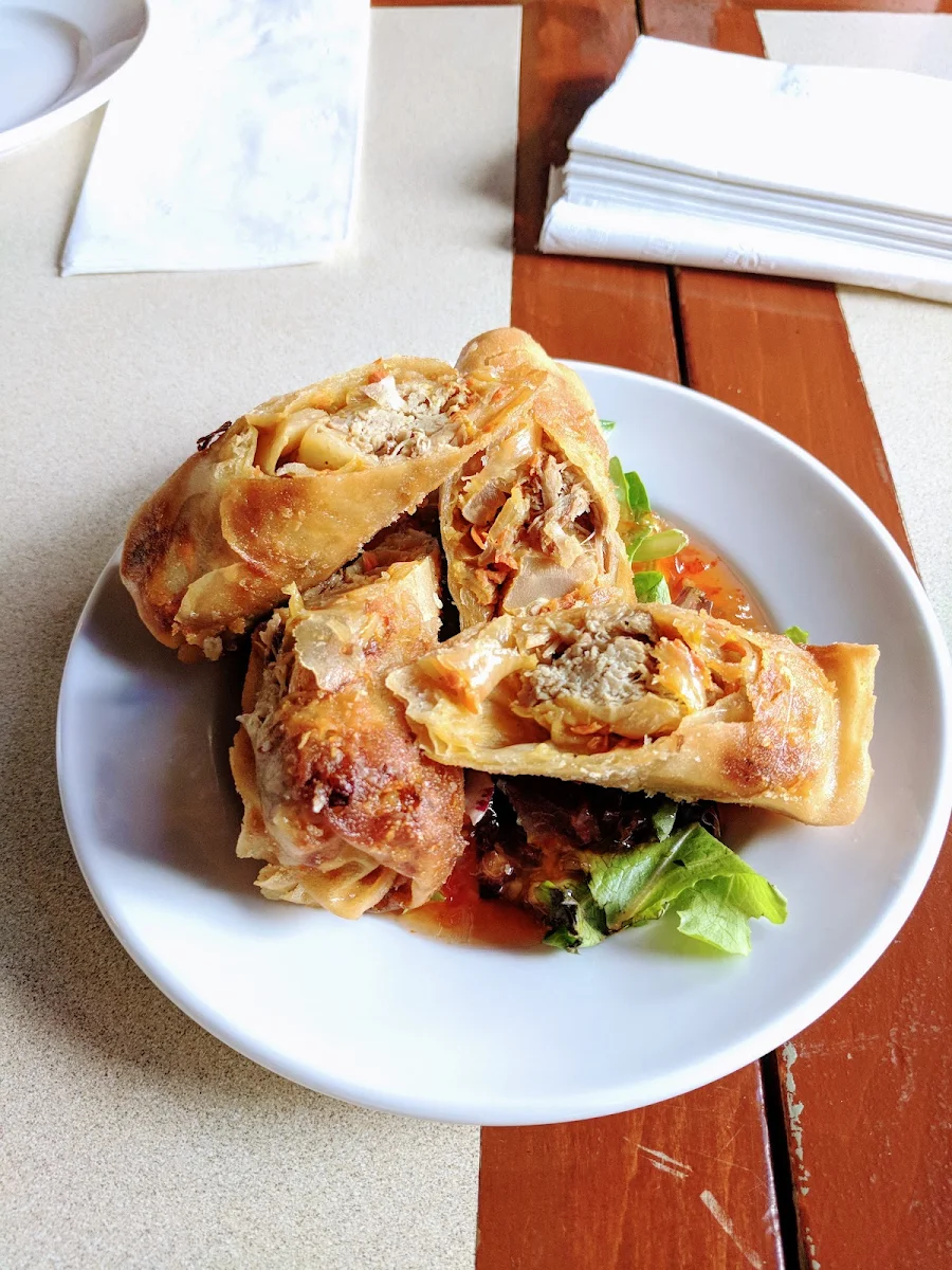 Pulled Pork Spring Rolls