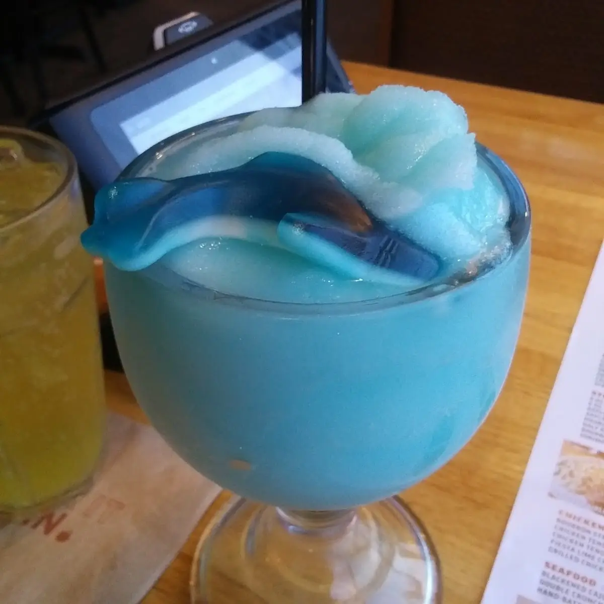Shark Bowl