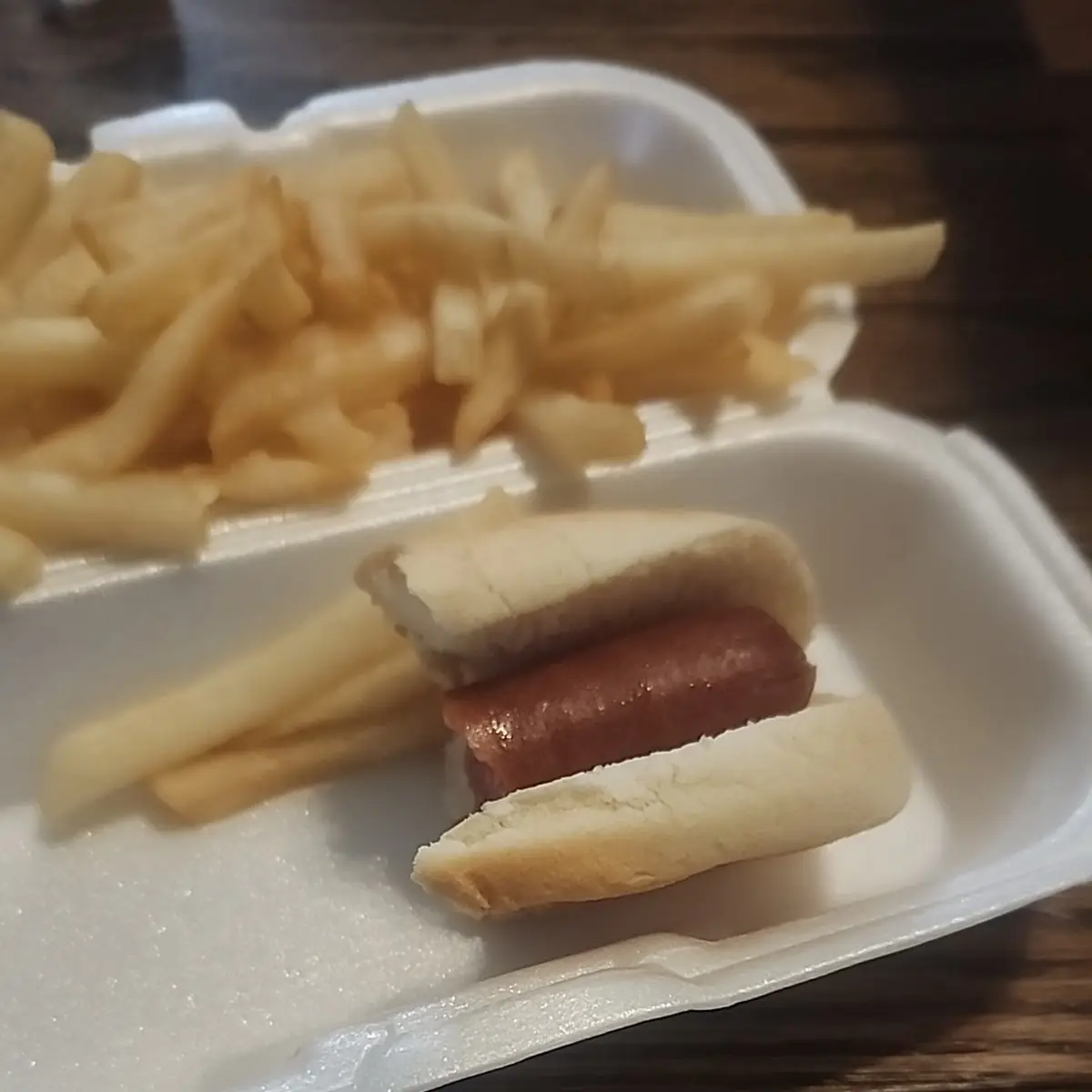 Hot Dog and Fries