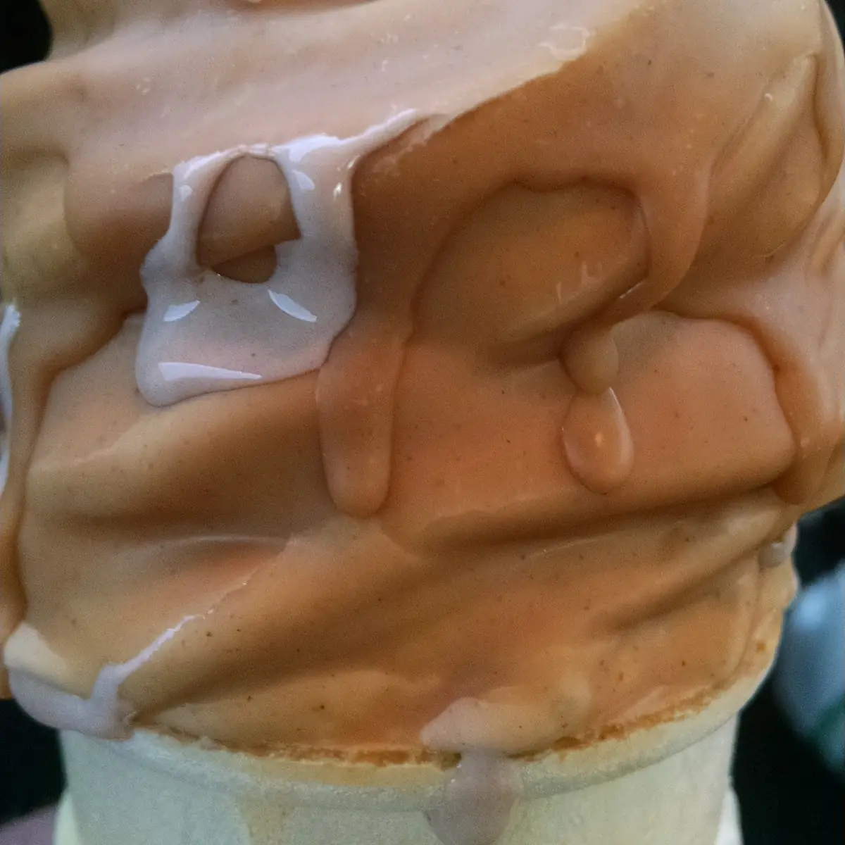 Peanut Butter Dipped Cone