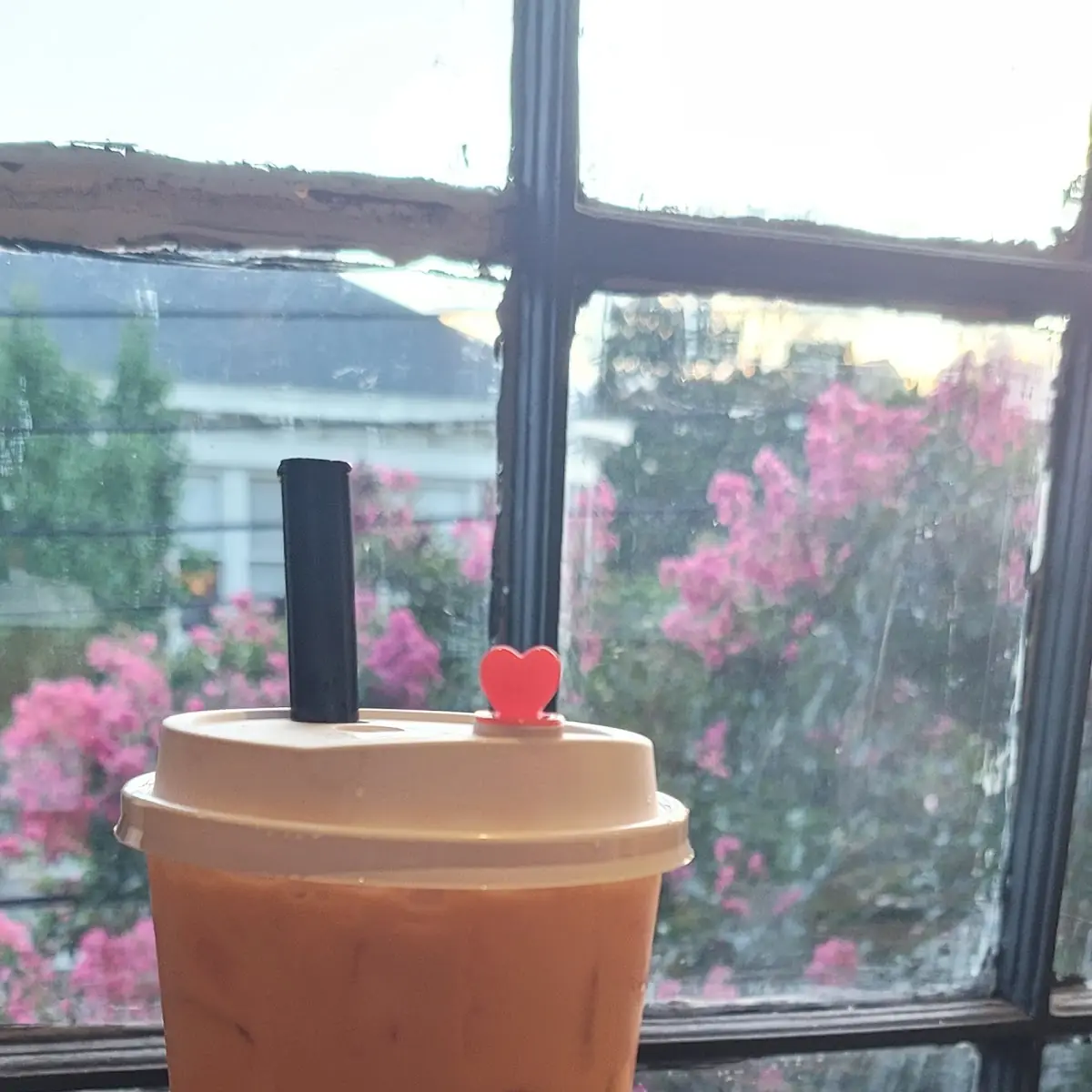 Thai Tea