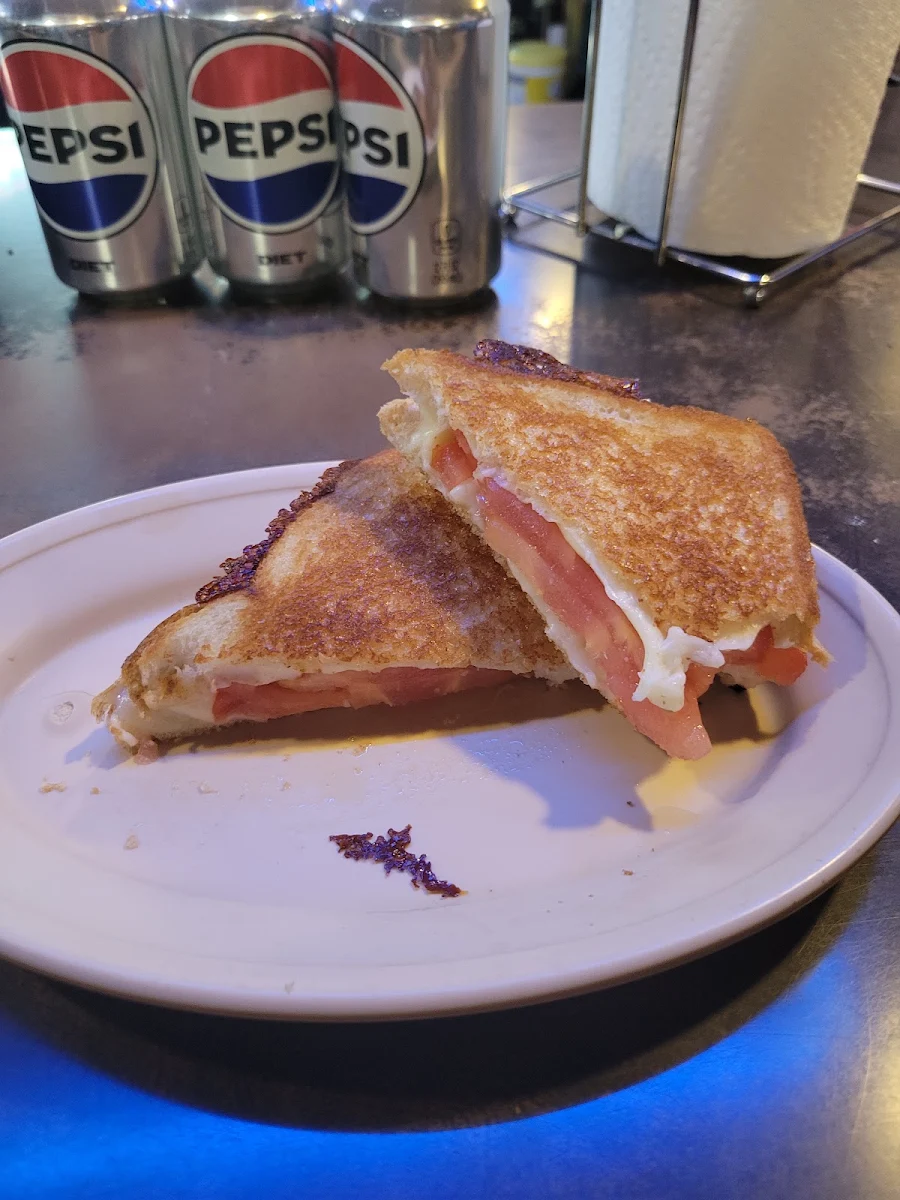 Grilled Mozzarella Cheese and Tomato Sandwich