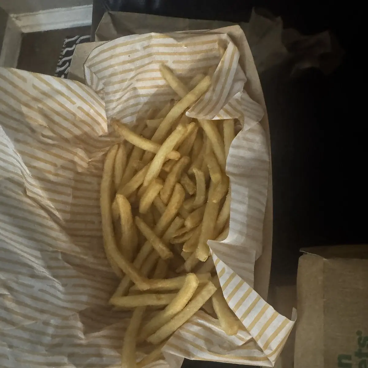 World Famous Fries