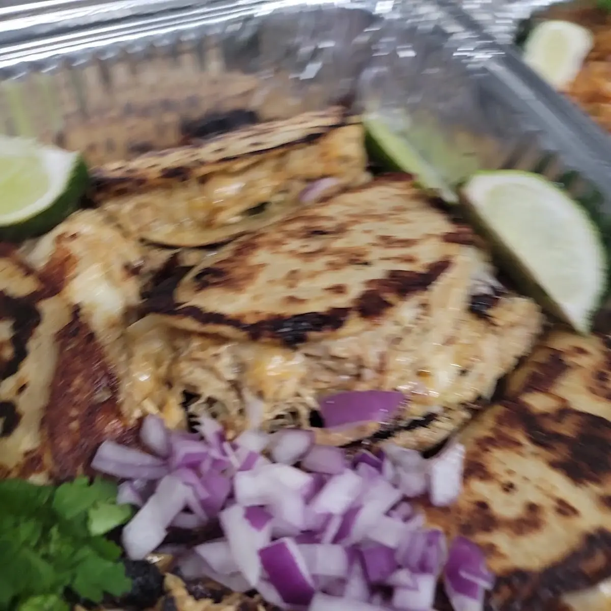 Quesadilla Plate