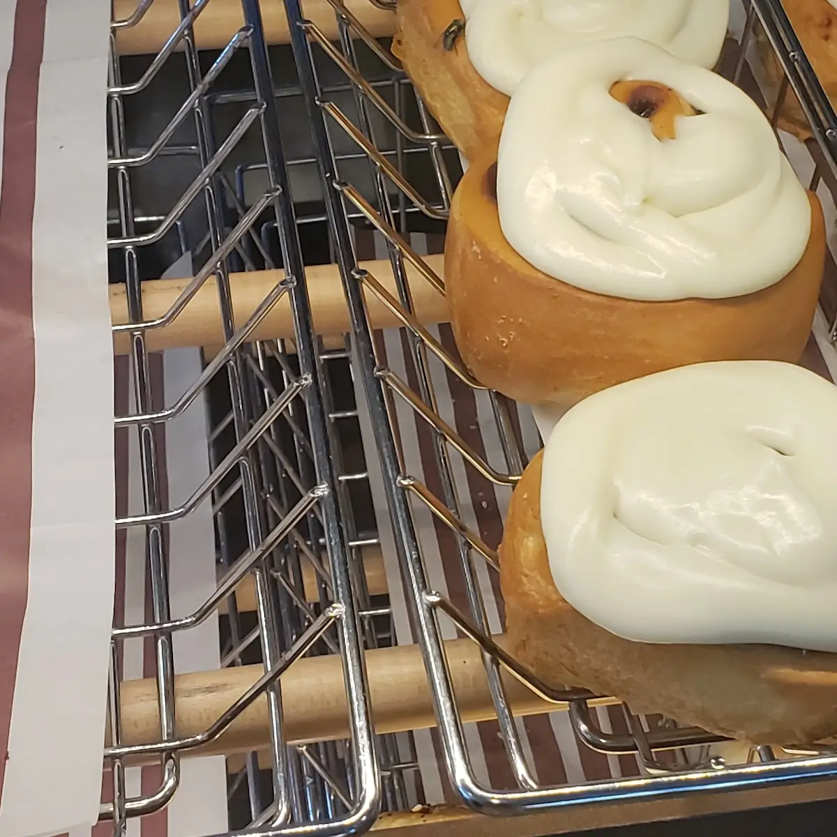 Cinnamon Buns with Flies, Tim Hortons