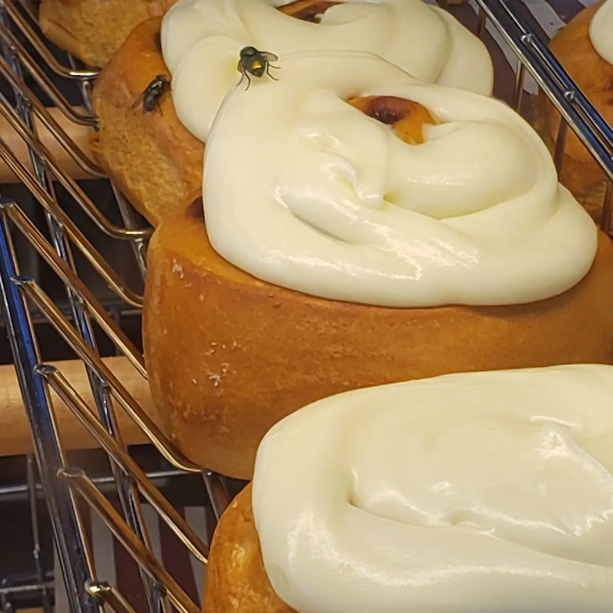 Cinnamon Rolls, Tim Hortons