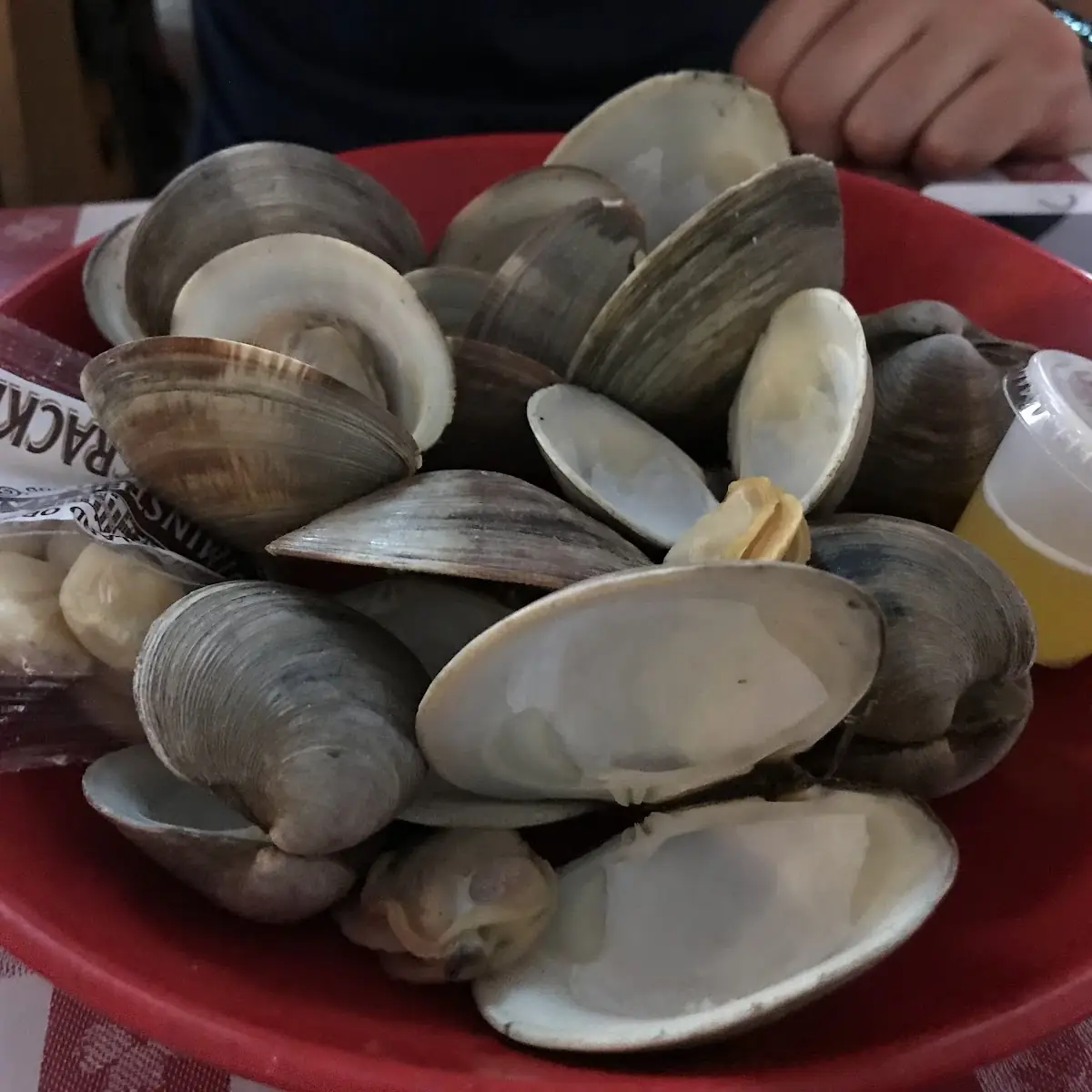 Steamed Clams