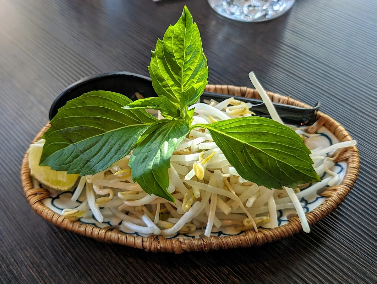 Thai Basil and Bean Sprout
