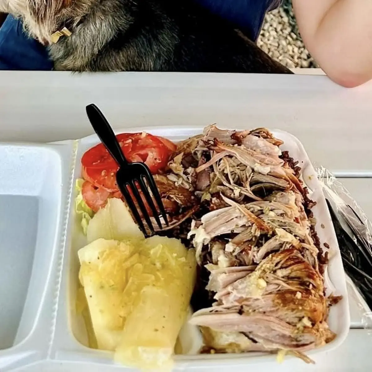 Cuban Lechon