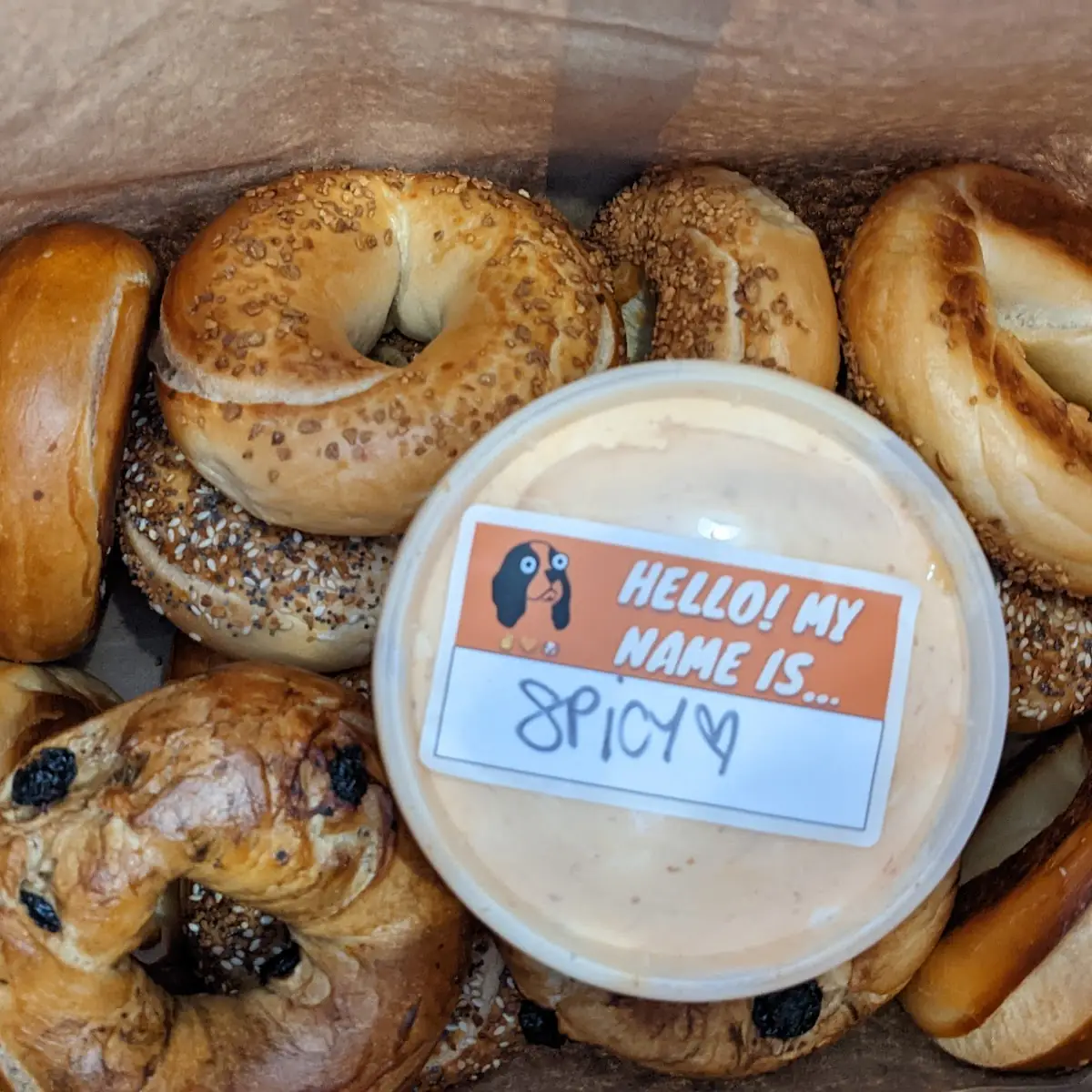 1 Dozen Assorted Bagels with Cream Cheese