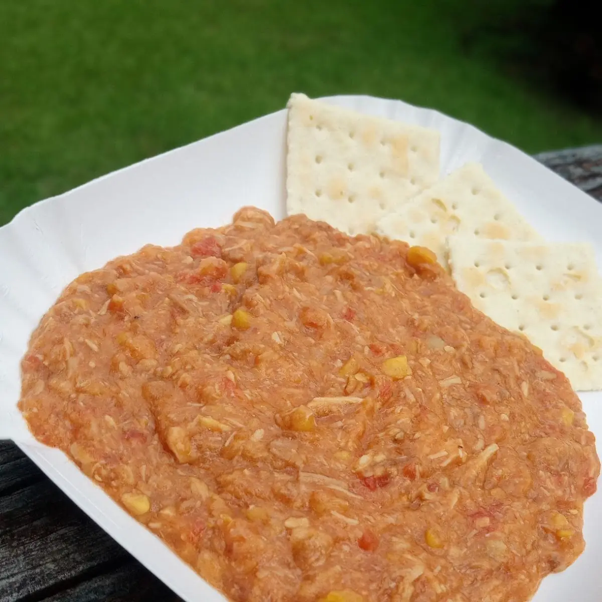 Vegetable Soup Stuff