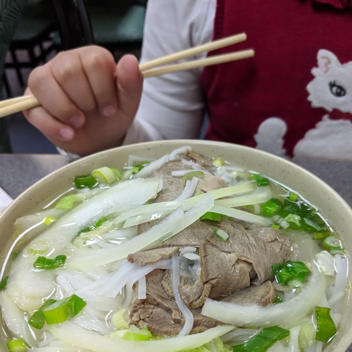 Noodle Soup