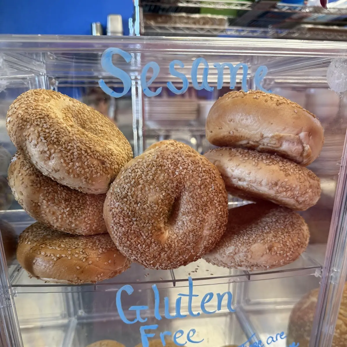 Bagel