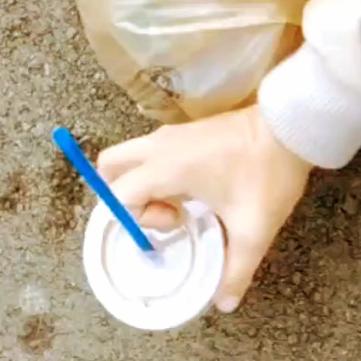 Vanilla Shake