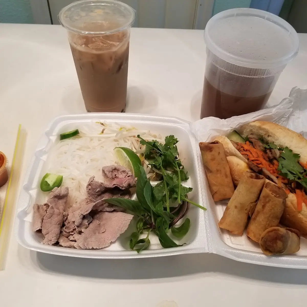Spring Rolls and Pho