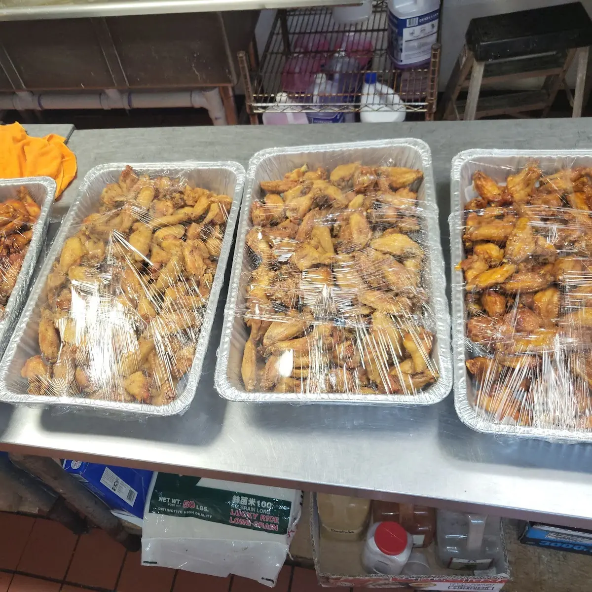 600 Wings