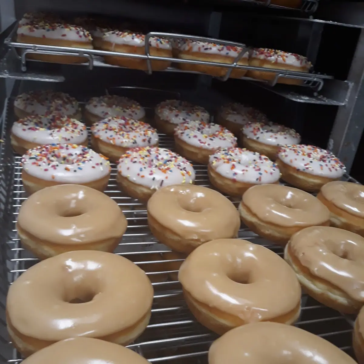Doughnut