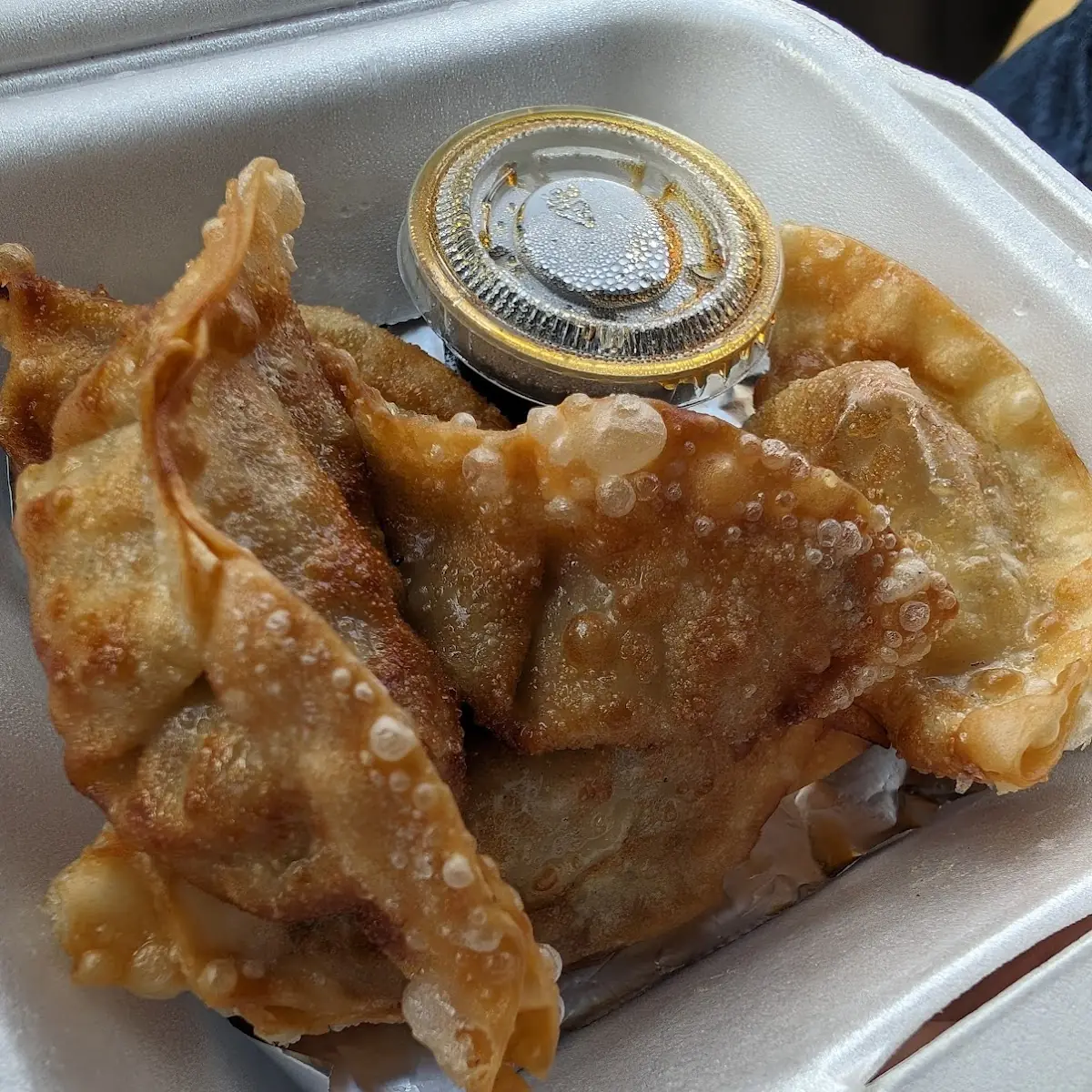 Chicken Pot Stickers