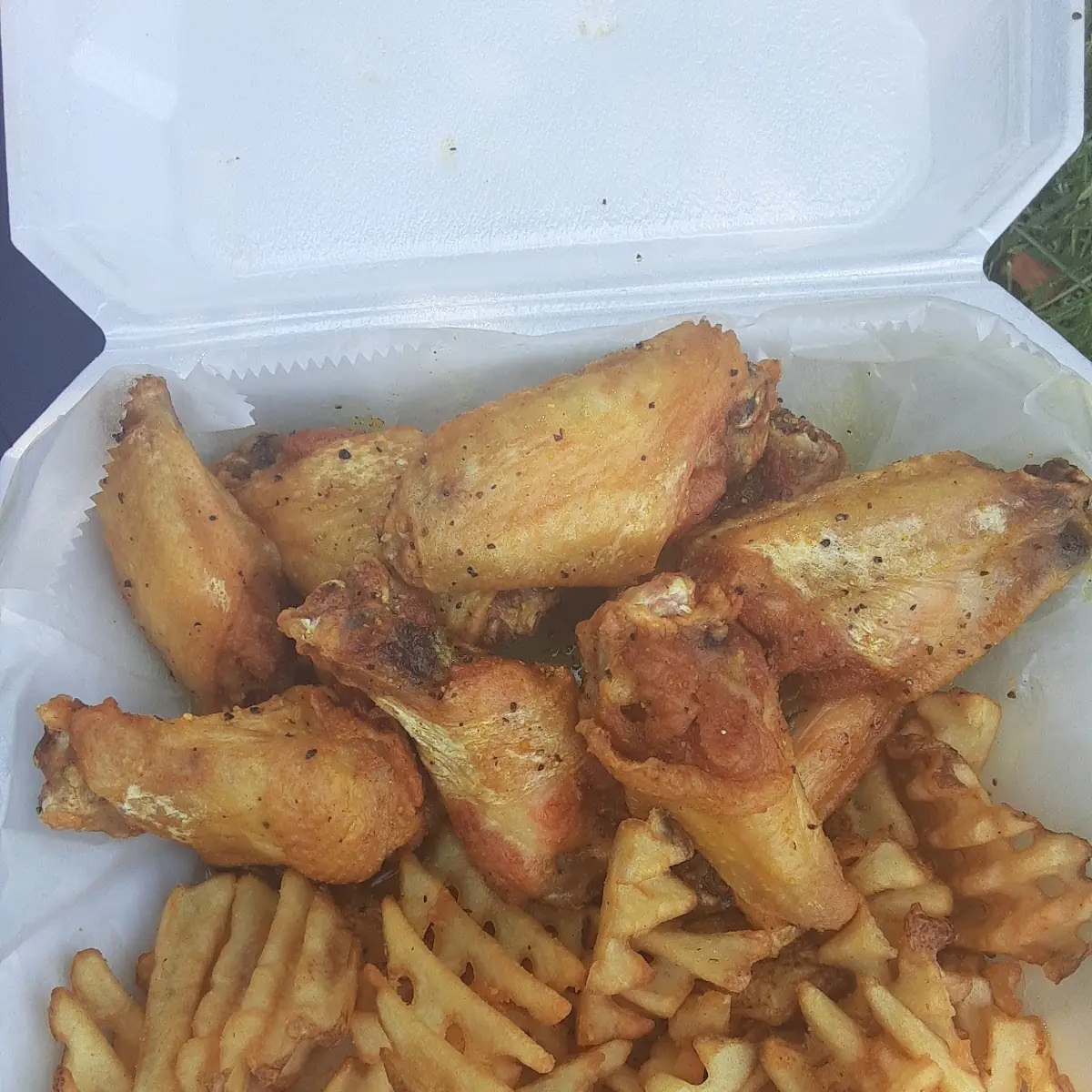 Lemon Pepper Wings and Fries