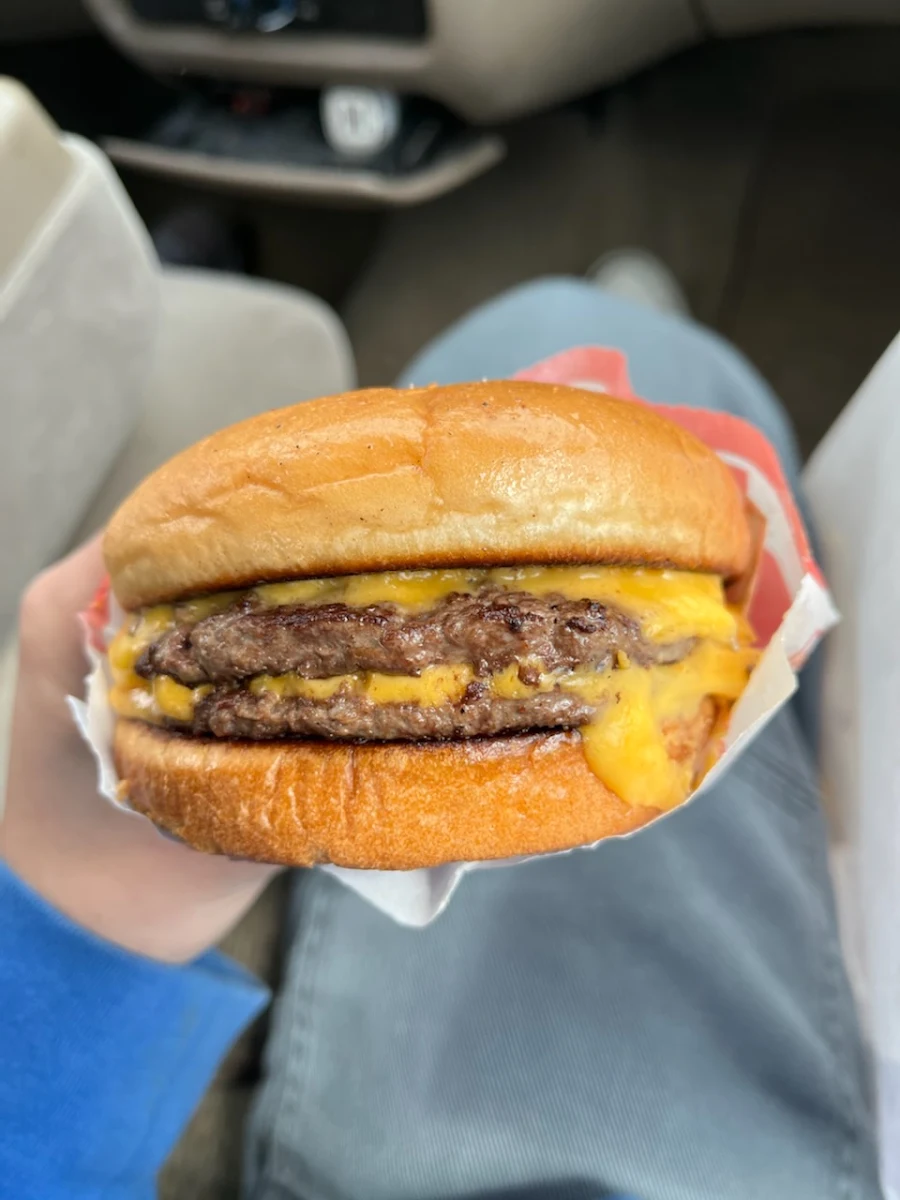Plain Double Double Cheeseburger