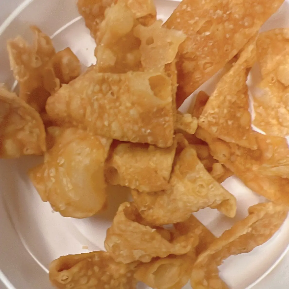Fried Wonton