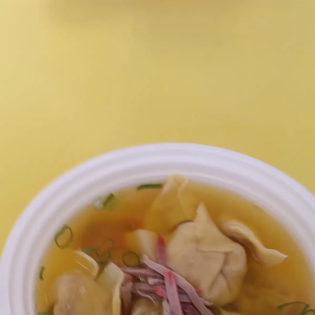 Wonton Soup