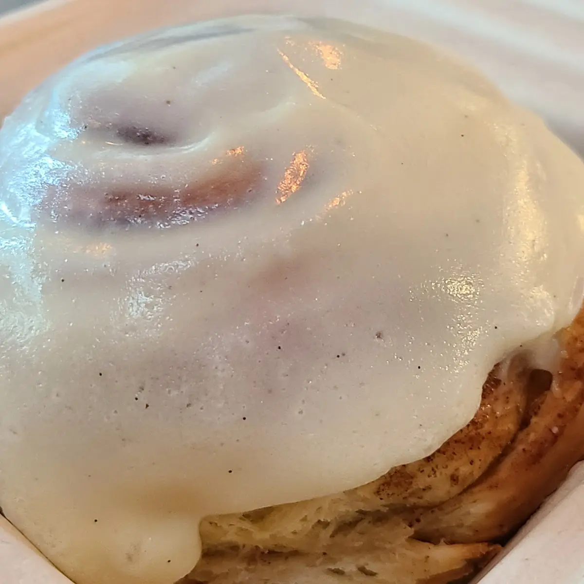 Cinnamon Bun